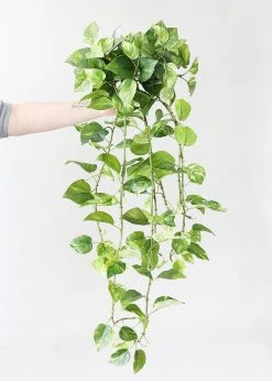 Afloral Artificial Plants Natural Touch Pothos Artificial Plant - 48