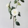 Afloral Real Touch Camellia Roses In Cream White - 35" Artificial Flowers