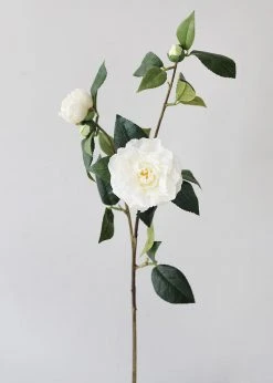 Afloral Real Touch Camellia Roses In Cream White - 35