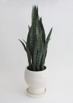 Afloral Vases Ceramic Pot With Saucer And Drainage - 11"