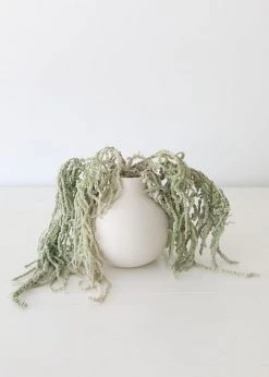 Afloral Green Preserved Amaranthus Hanging Flowers - 32-40" Dried Flowers