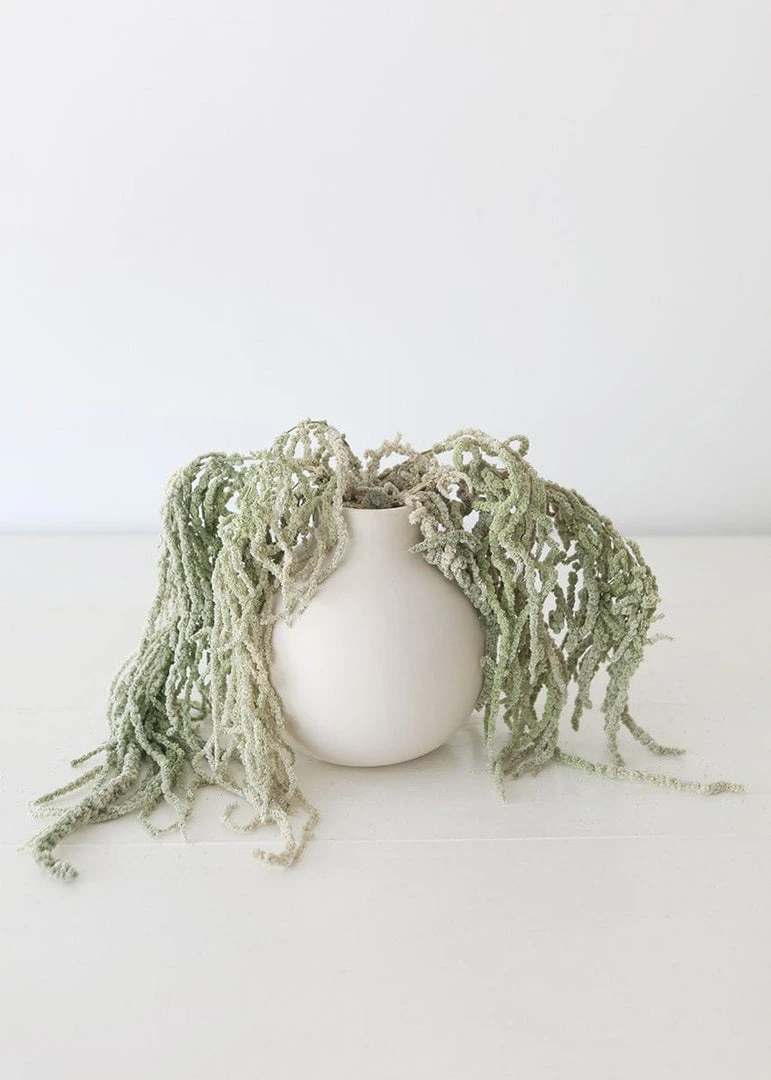 Afloral Green Preserved Amaranthus Hanging Flowers - 32-40" Dried Flowers