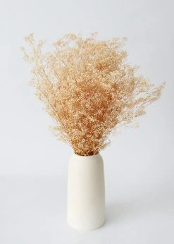 Afloral Dried Flowers Preserved Natural Gypsophila Flowers - 10-28"