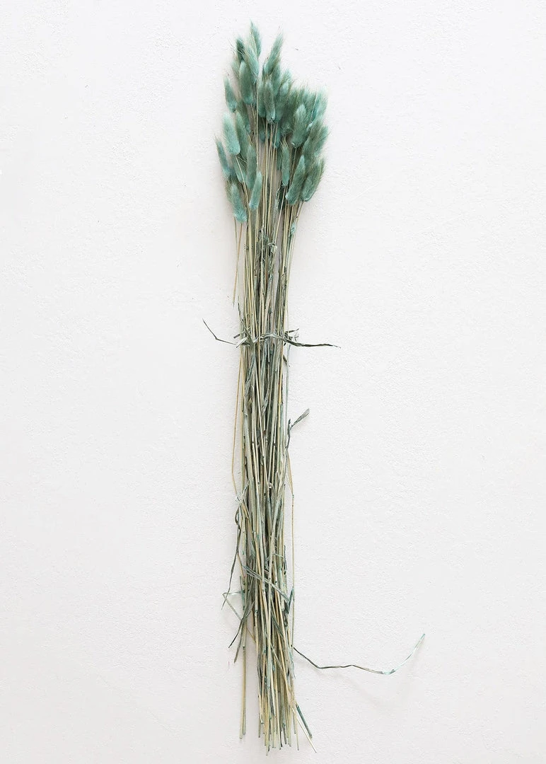 Afloral Sea Blue Dried Bunny Tails - 22-30" Dried Flowers