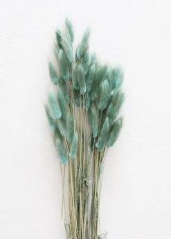 Afloral Sea Blue Dried Bunny Tails - 22-30