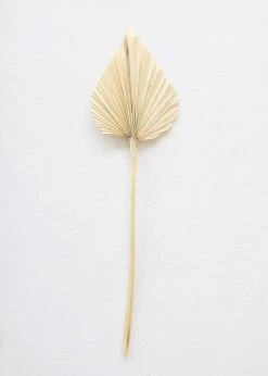 Afloral Dried Flowers Bundle Of 10 Bleached Dried Palm Spears - 14-20