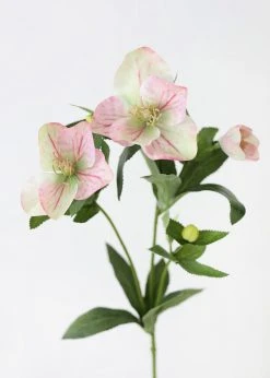 Afloral Light Pink Helleborus Artificial Flowers - 25"