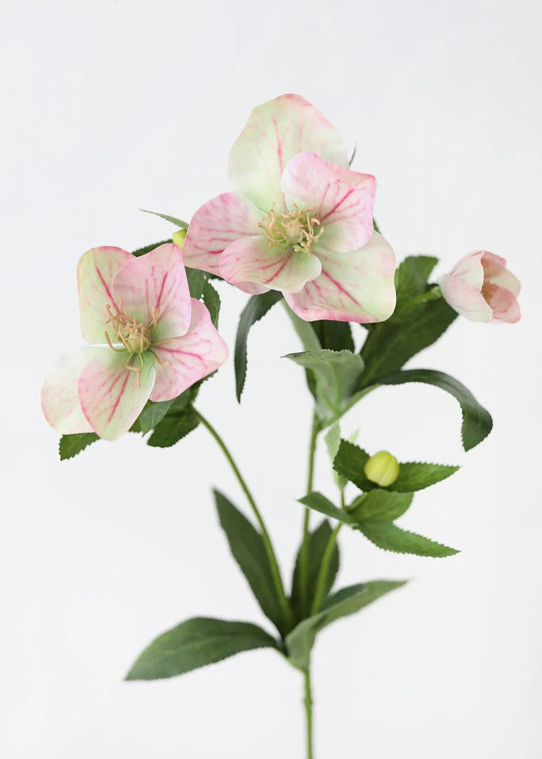 Afloral Light Pink Helleborus Artificial Flowers - 25"