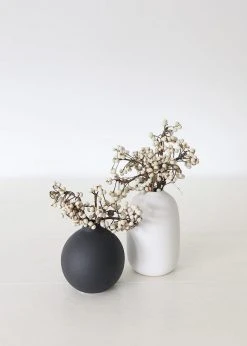 Afloral Dried Flowers White Natural Dried Tallow Berries - 6-8