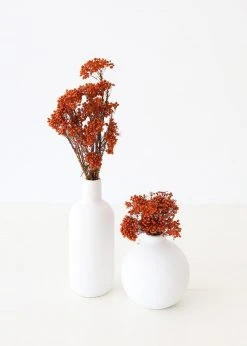 Afloral Dried Flowers Terracotta Preserved Rice Flower - 18-26