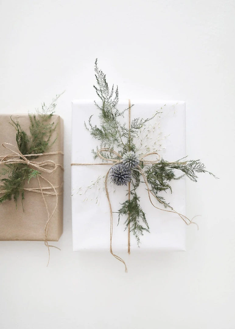 Afloral Dried Flowers Blue Dried Echinops Globe Thistles - 16-22"