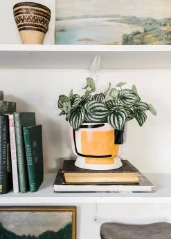 Afloral Artificial Natural Touch Watermelon Peperomia Plant - 13