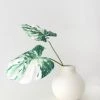 Afloral Artificial Plants Artificial Variegated Monstera Leaves - 2 Stem Bundle- 27-29"