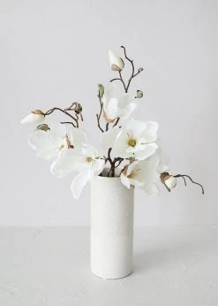 Afloral Silk Magnolia In Cream White - 19