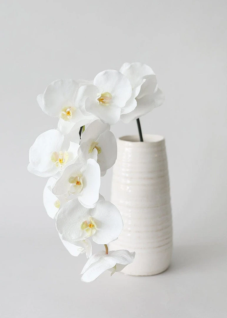 Afloral Neutral Ceramic Waterproof Flower Vase - 11.75" Vases