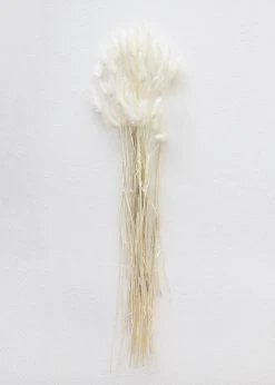 Afloral White Dried Bunny Tails - 18-28"