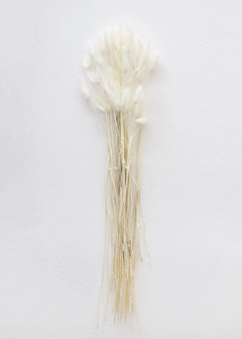 Afloral White Dried Bunny Tails - 18-28"