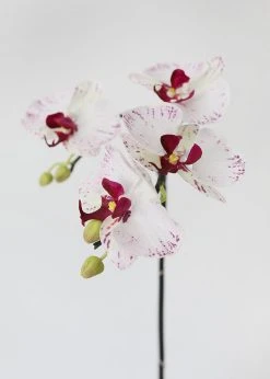 Afloral White Artificial Phalaenopsis Orchid - 32
