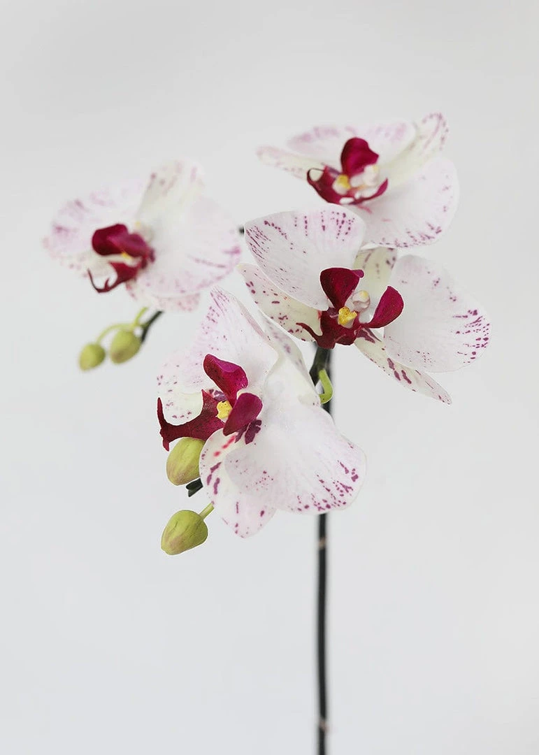 Afloral White Artificial Phalaenopsis Orchid - 32"
