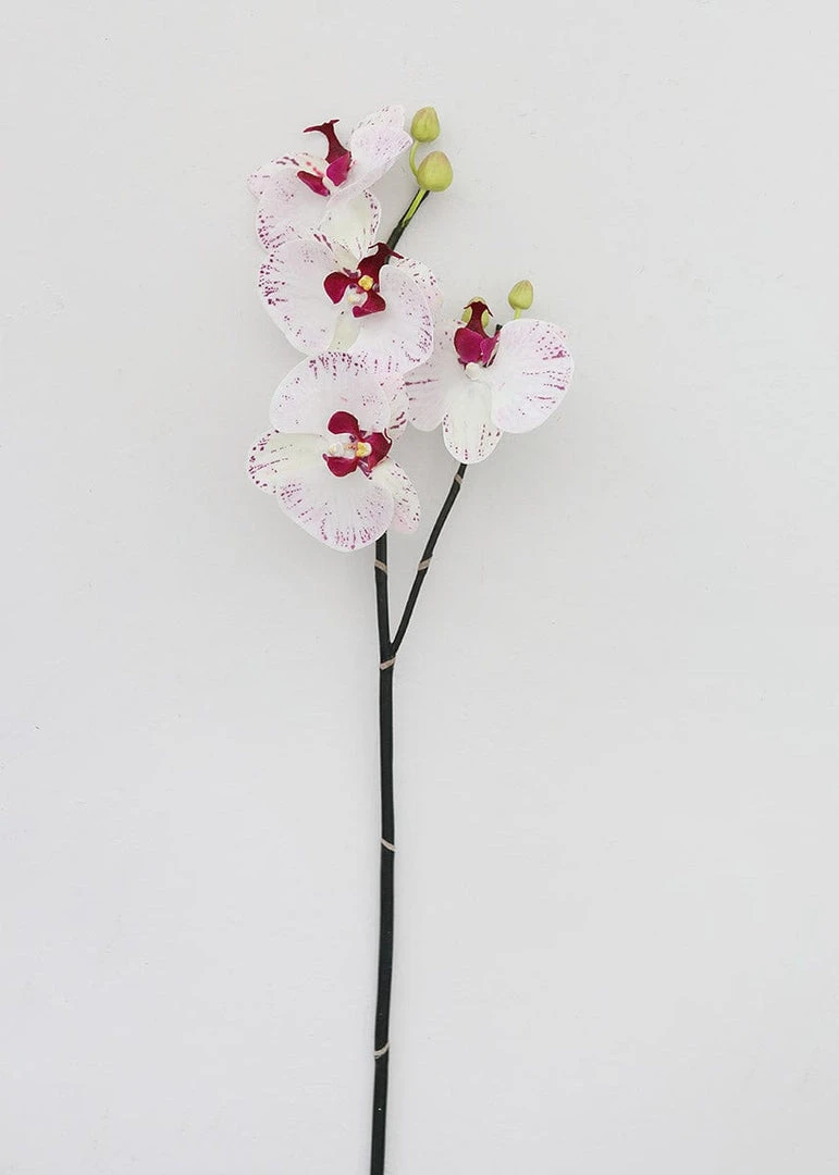 Afloral White Artificial Phalaenopsis Orchid - 32"