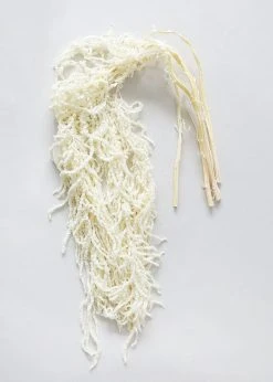 Afloral White Preserved Hanging Amaranthus - 32-40" Dried Flowers