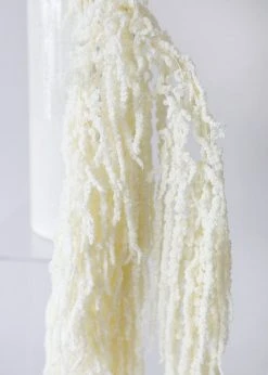 Afloral White Preserved Hanging Amaranthus - 32-40