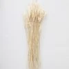 Afloral Dried Flowers Dried Petite Arrow Grass - 12"