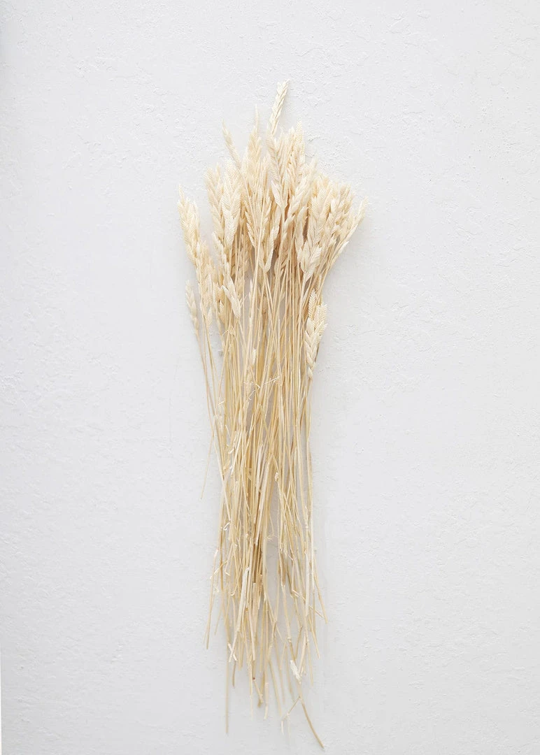 Afloral Dried Flowers Dried Petite Arrow Grass - 12"