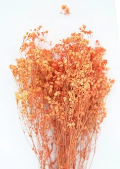 Afloral Orange Preserved Baby's Breath - 24-32" Dried Flowers