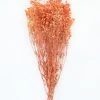 Afloral Orange Preserved Baby's Breath - 24-32" Dried Flowers