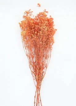 Afloral Orange Preserved Baby's Breath - 24-32" Dried Flowers