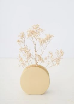 Afloral Dried Flowers Ivory Preserved Baby's Breath - 24-32