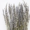Afloral Dried Flowers Dried Lavender Wildflowers - 15-22"