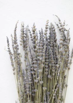 Afloral Dried Flowers Dried Lavender Wildflowers - 15-22"
