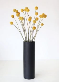 Afloral Bundle Of 25 Dried Craspedia Billy Buttons - 18-26