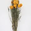 Afloral Yellow Dried Marigold Flowers - 14-22" Dried Flowers