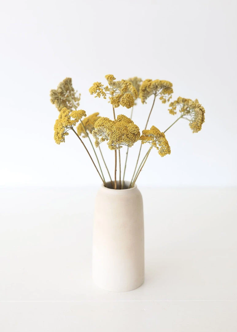 Afloral Dried Natural Yarrow Flowers - 18-24" Dried Flowers