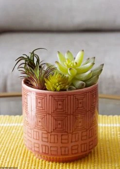 Afloral Artificial Plants Artificial Flocked Succulents Agave Cactus - 4