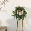 Afloral Real Touch Norfolk Pine Wreath - 24" Artificial Plants